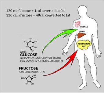 Fructose-a-phobia. Is this for real?